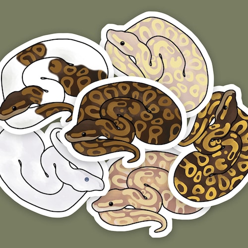 6 Pcs Ball Python Stickers Ball Python Decal Snake - Etsy