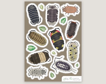 1 pc - Vinyl Isopod Sticker Sheet B, Roly Poly Stickers, Pill Bug Stickers, Isopod Lover Gift, Panda King Sticker, Invertebrate Stickers