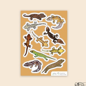 1 pc - Vinyl Lizard Sticker Sheet, Crested Gecko Art, Leopard Gecko Decal, Day Gecko, Gargoyle Gecko, Gecko Lover Gift, Herpetologists