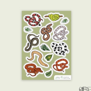 May include: A sheet of stickers featuring various colorful snake illustrations. The stickers are on a green background with a logo at the bottom that reads "Coastline Pets & Pods".