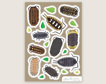 1 pc, Isopod Sticker Sheet A, Roly Poly Stickers, Pill Bug Stickers, Isopod Lover Gift, Rubber Ducky Sticker, Invertebrate Stickers