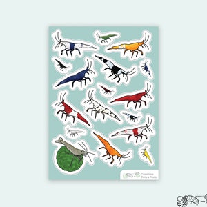 1 pc - Vinyl Shrimp Sticker Sheet, Freshwater Shrimp, Shrimp Aquarium, Aquarium Stickers, Aquascape Tank, Planted Tank Decor