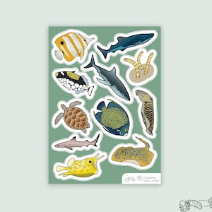 1 pc - Vinyl Saltwater Fish Sticker Sheet, Coral Reef Stickers, Ocean Stickers, Gift for Ocean Lover, Gift for Marine Biologist, Shark Decal
