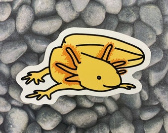 Cute Axolotl Art Etsy Cute Axolotl Art Etsy
