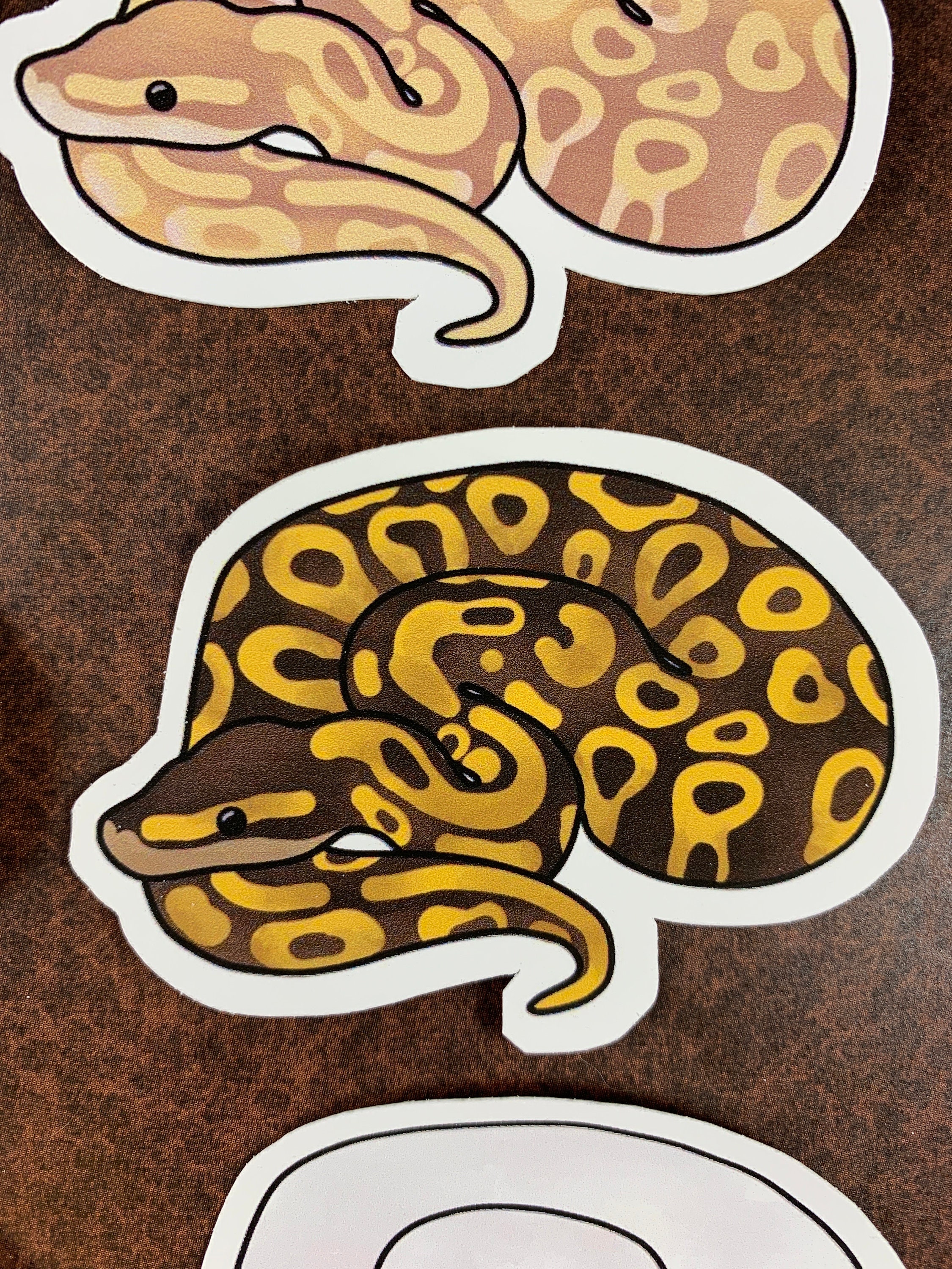 6 pcs Ball Python Stickers Ball Python Decal Snake | Etsy