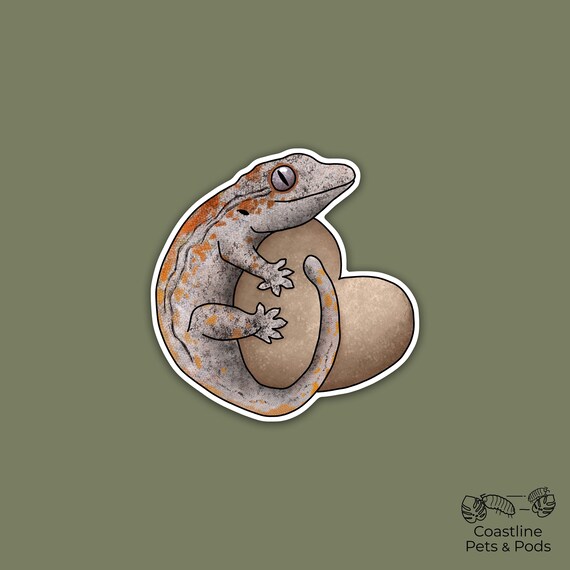 1 pc - Vinyl Gargoyle Gecko Sticker, Gecko Lover Gifts and Decals, Reptile Mom, Gecko Dad, Chubby Animal Art, Leachie Gecko Decor, Crested