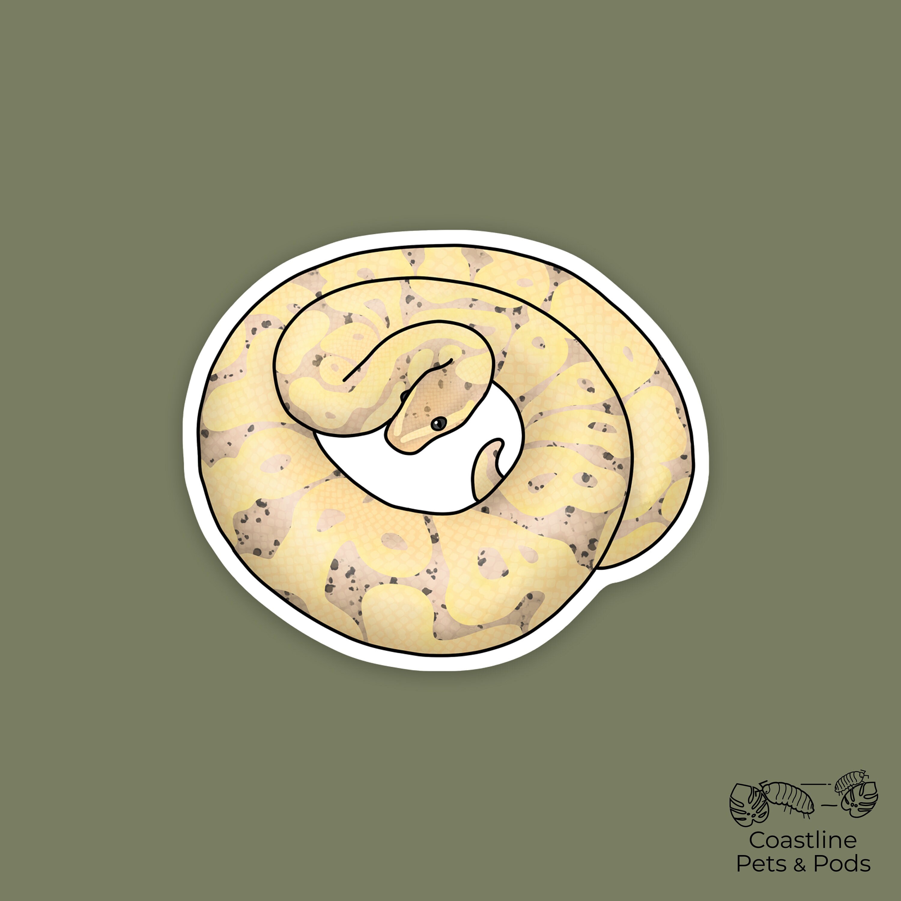 1 pc - Vinyl Banana Ball Python Sticker, Ball python decal for water bottle, stickers for laptops, gift for snake dad and mom, reptile lover