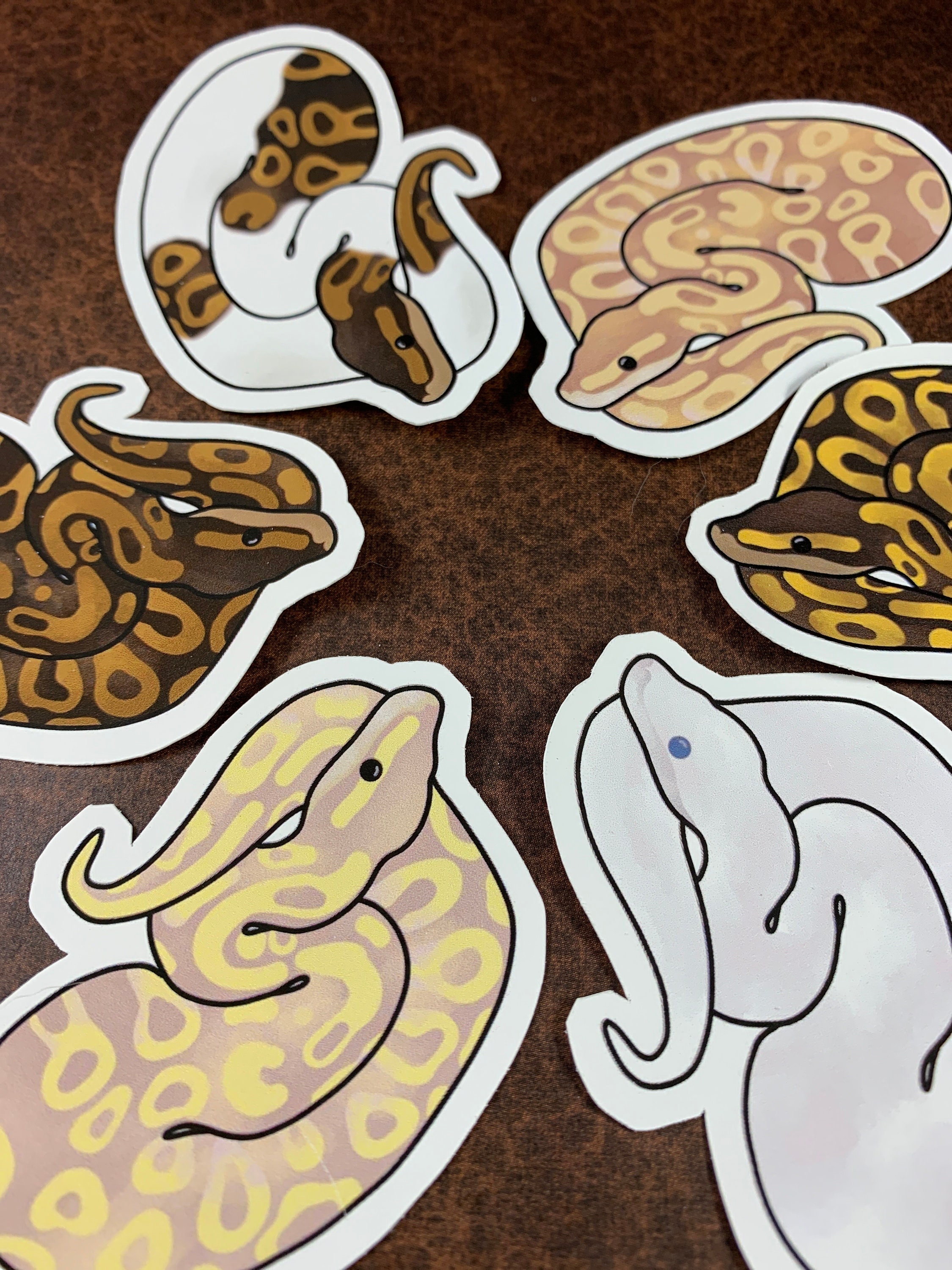 6 pcs Ball Python Stickers Ball Python Decal Snake | Etsy