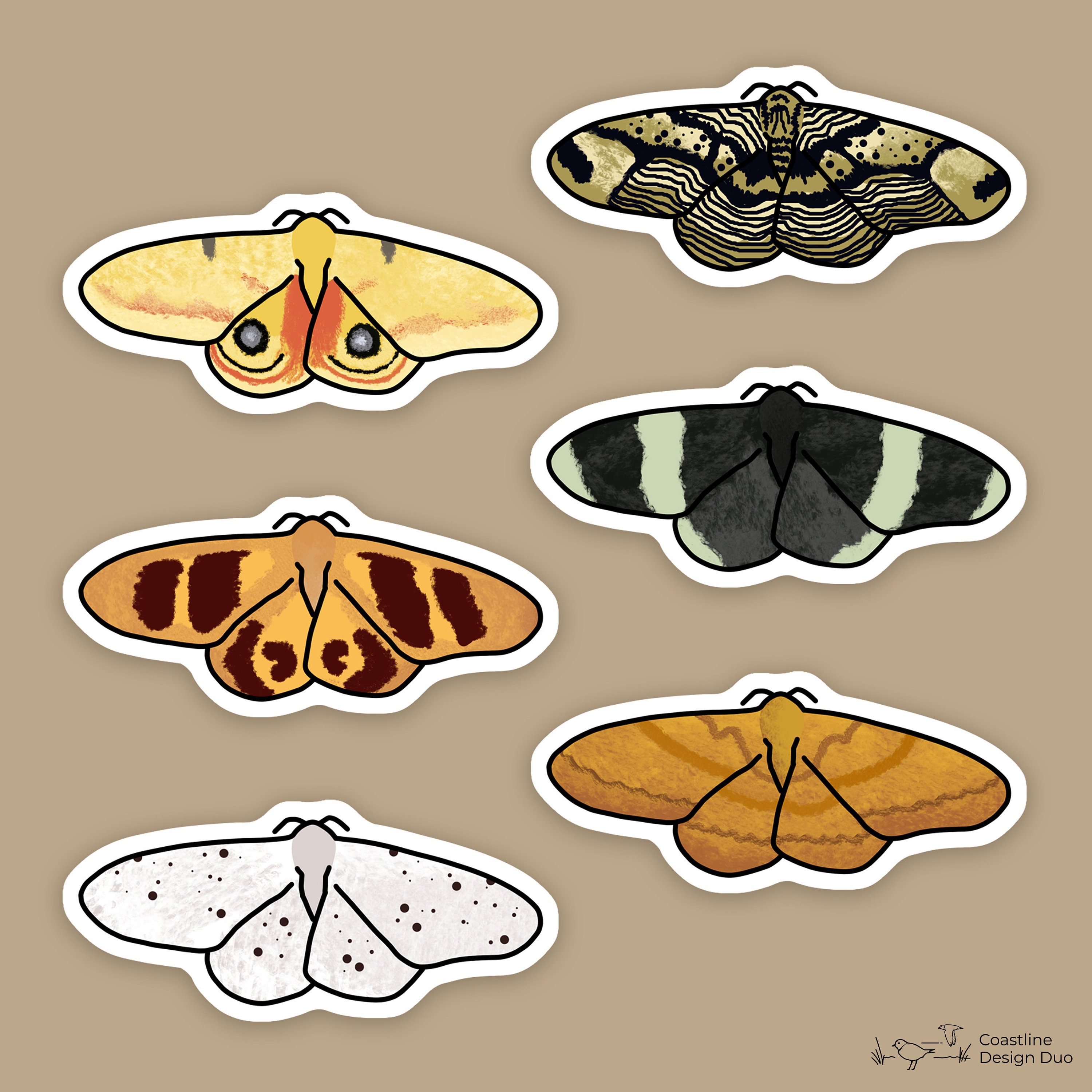 6 Pcs Moth Stickers Moth Art Insect Lover Bug Lover Bug Etsy