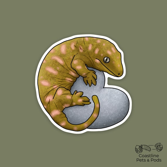 1 pc - Vinyl Leachianus Gecko Sticker, Gecko Lover Gifts and Decals, Reptile Mom, Gecko Dad, Chubby Animal Art, Leachie Gecko Decor