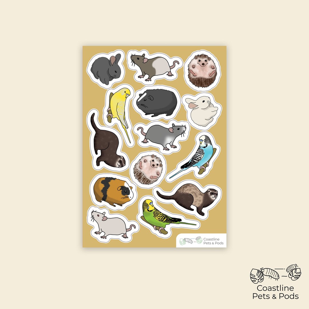 1 Pc Vinyl Small Animal Sticker Sheet, Cute Rat Art, Parakeet Decals