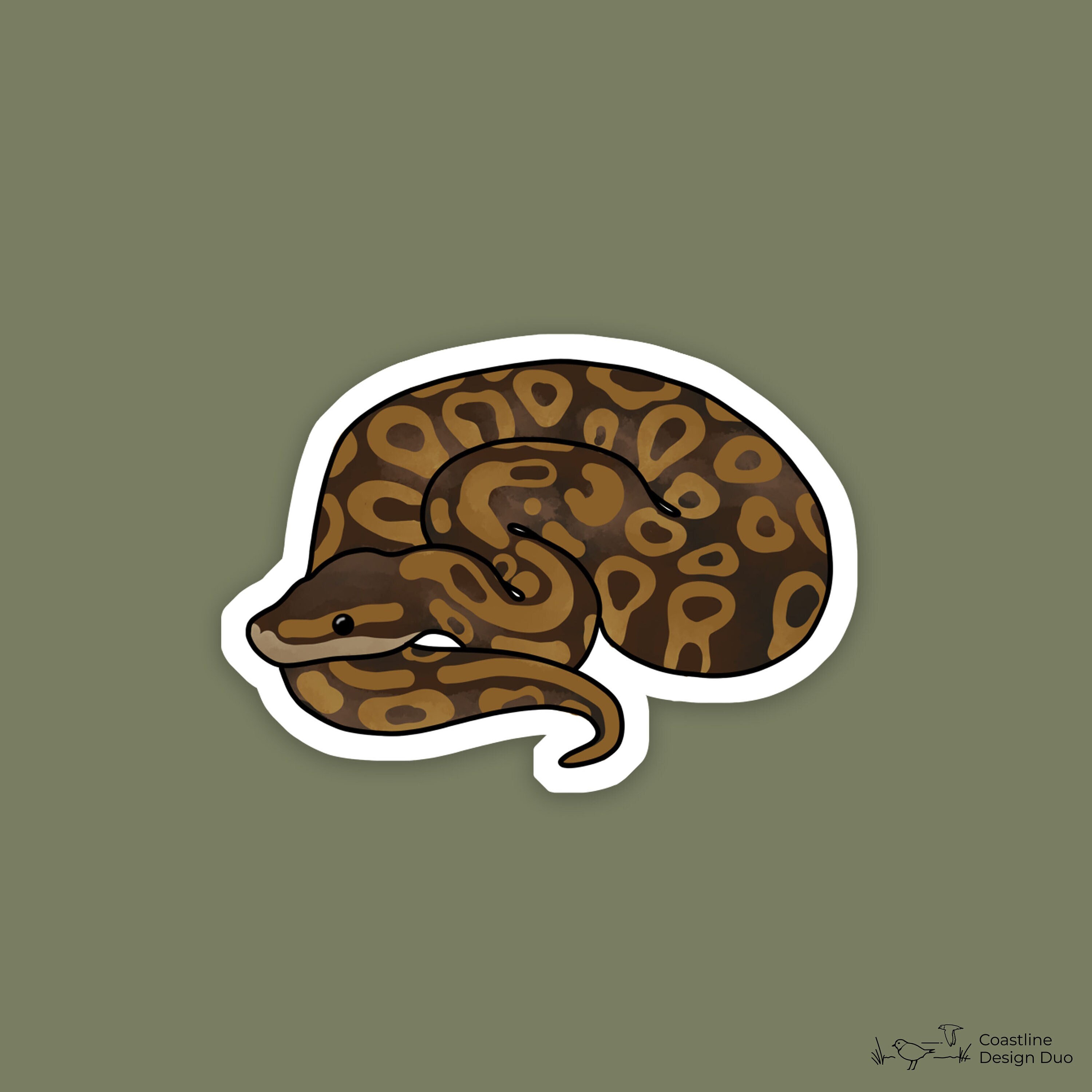 1 pc Ball Python Sticker Ball Python Ball Python Sticker | Etsy