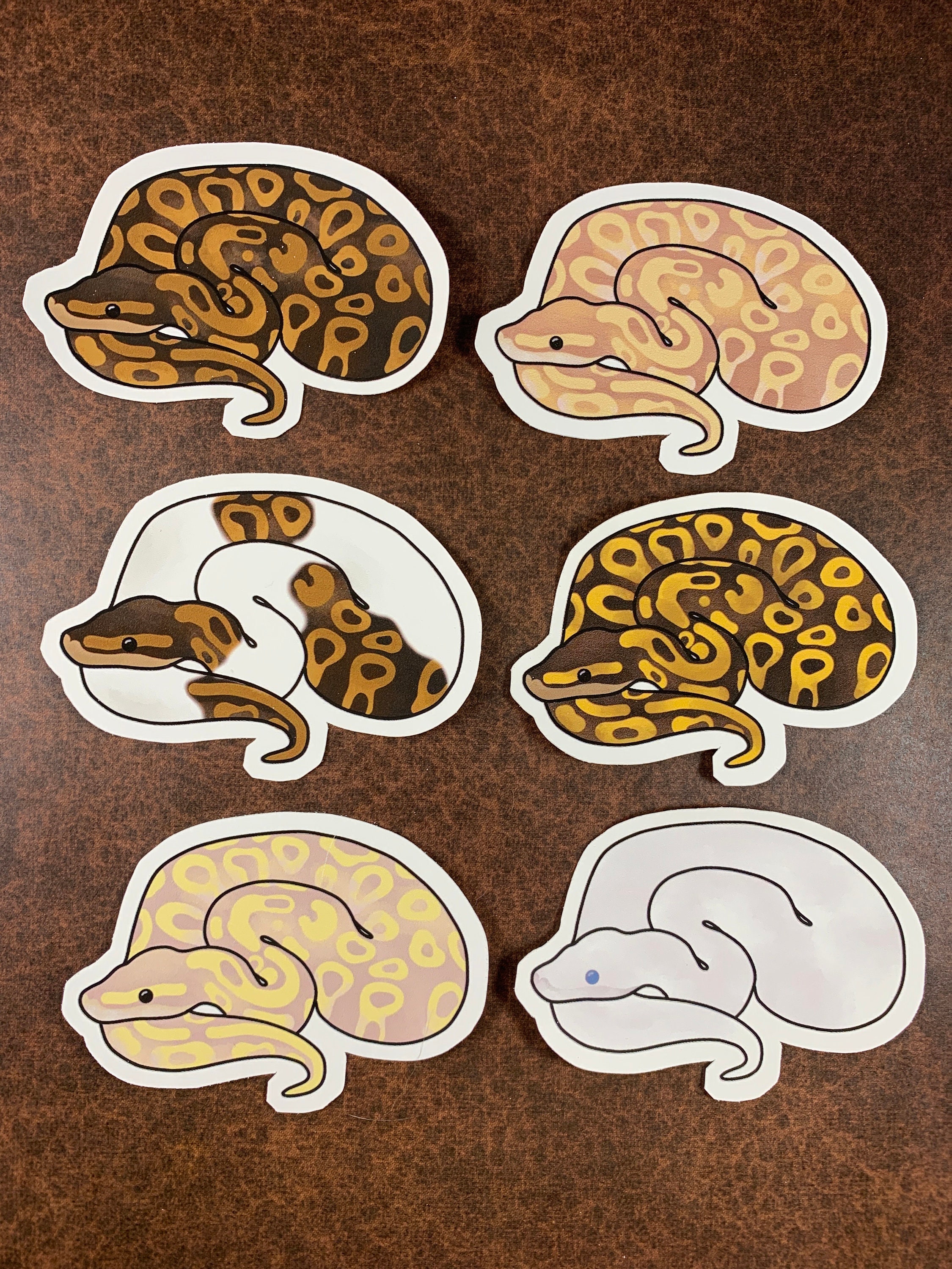 6 pcs Ball Python Stickers Ball Python Decal Snake | Etsy