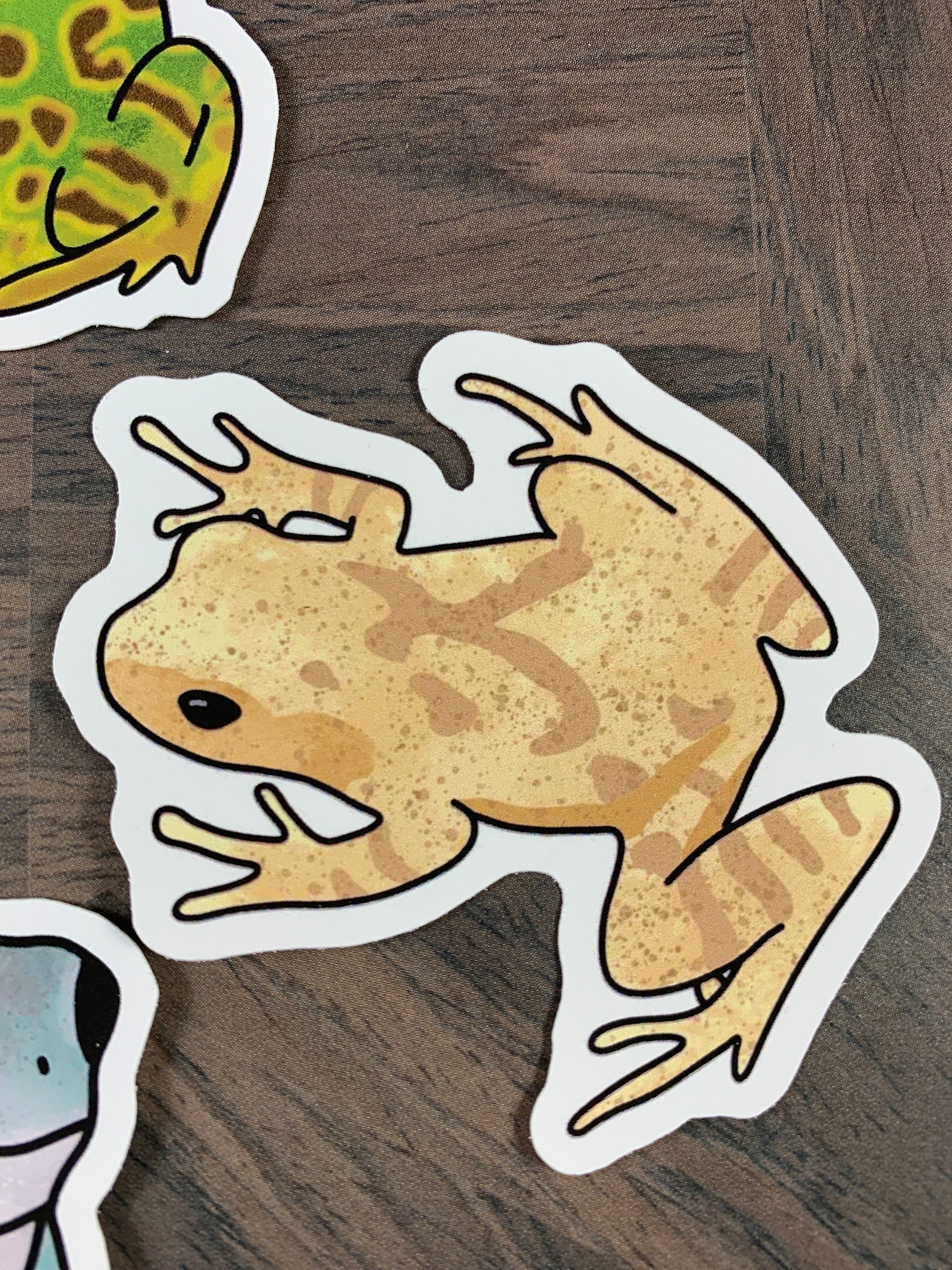 6 pcs Frog Stickers Tree Frog Stickers Pacman Frog Sticker Etsy