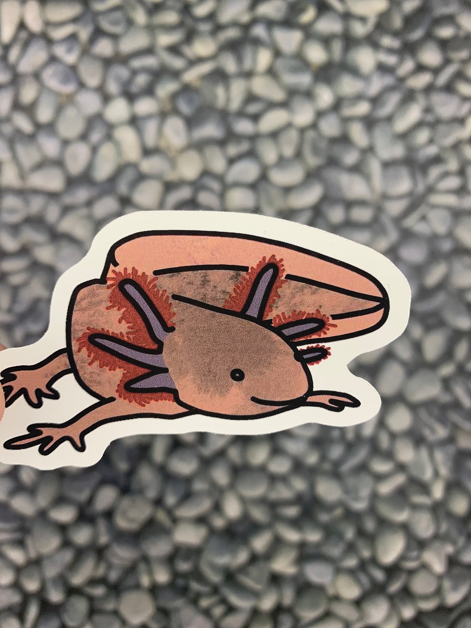 1 pc Axolotl Sticker Axolotl Art Cute Axolotl Axolotl Etsy