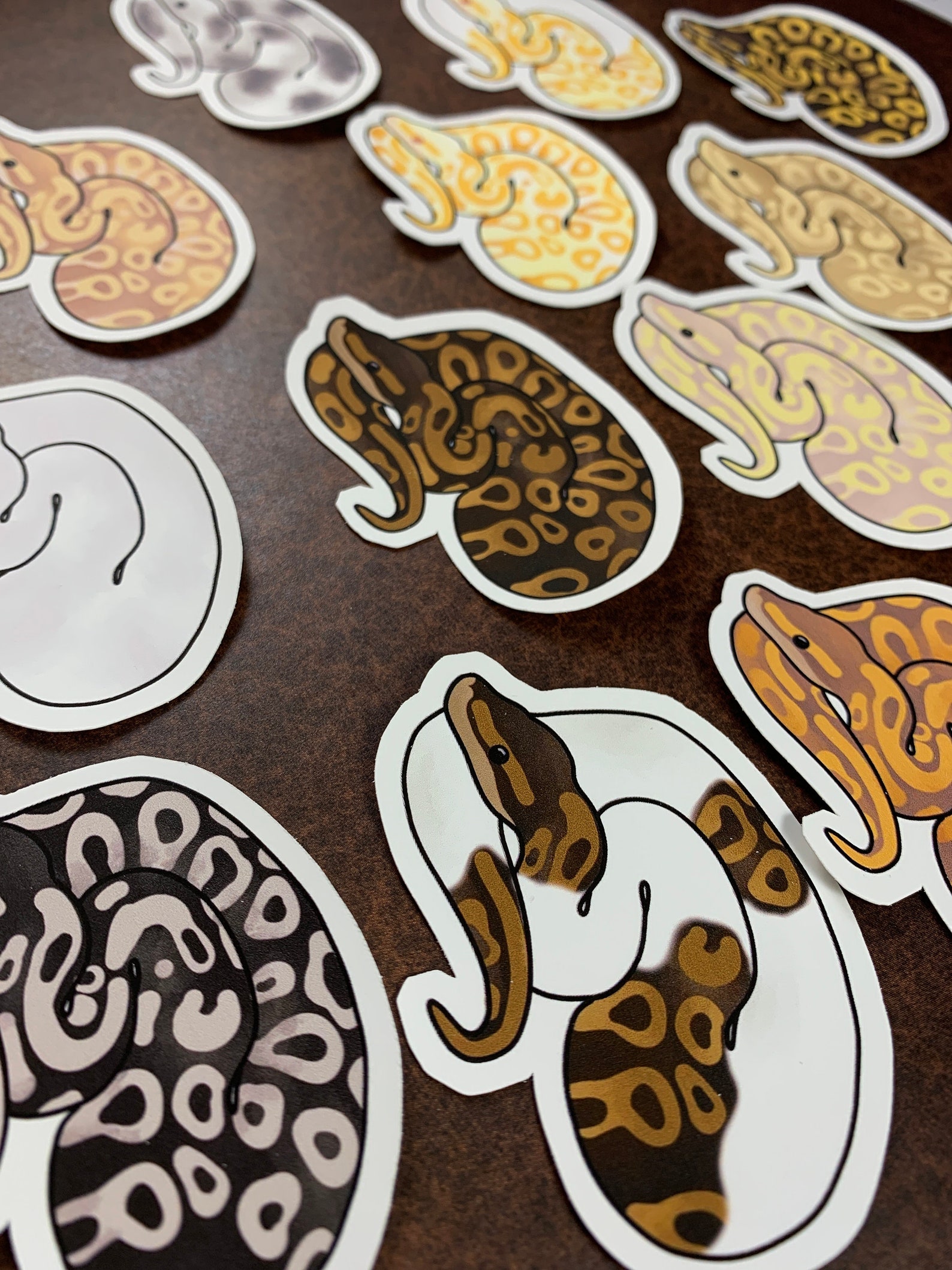 12 pcs Ball Python Stickers Ball Python Decal Snake | Etsy