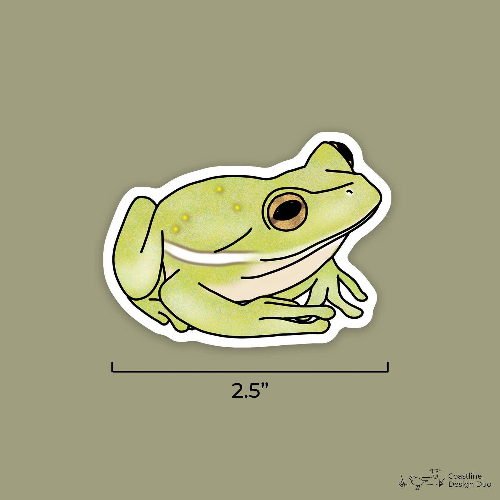 6 pc paquete de pegatinas de rana pegatina de rana de Etsy España