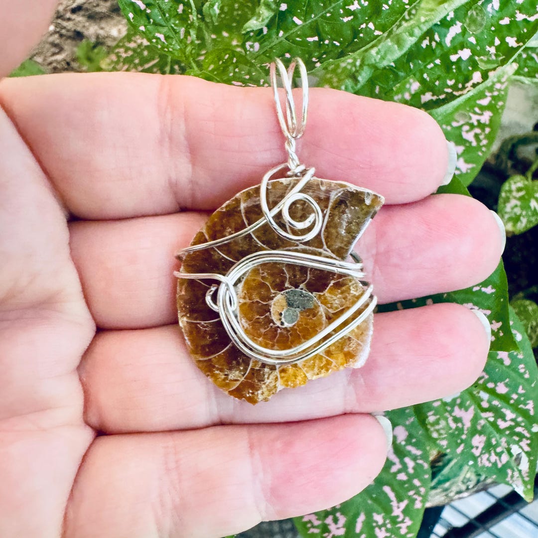 Shell Wire Wrapped Insect Fossil Ammonite Shell Wire Wrapped Pendant. Natural Golden Brown ...