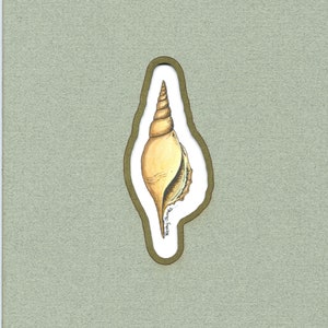 May include: A hand-drawn illustration of a seashell in a gold frame on a green background. The shell is light brown with a spiral shape and a pointed tip. The artist's signature is visible at the bottom of the illustration.