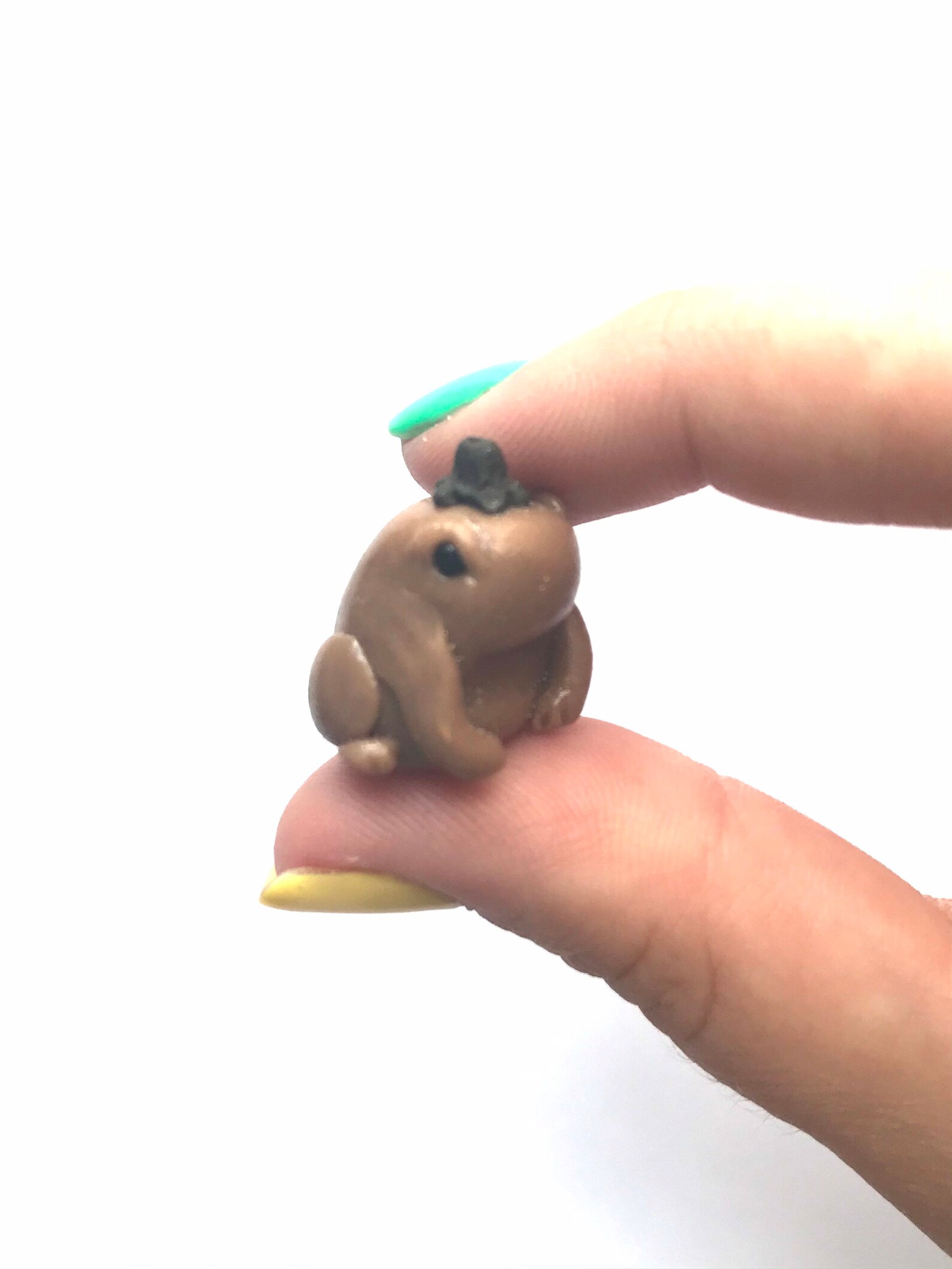 Fizzy Frog Good Luck Charms Etsy