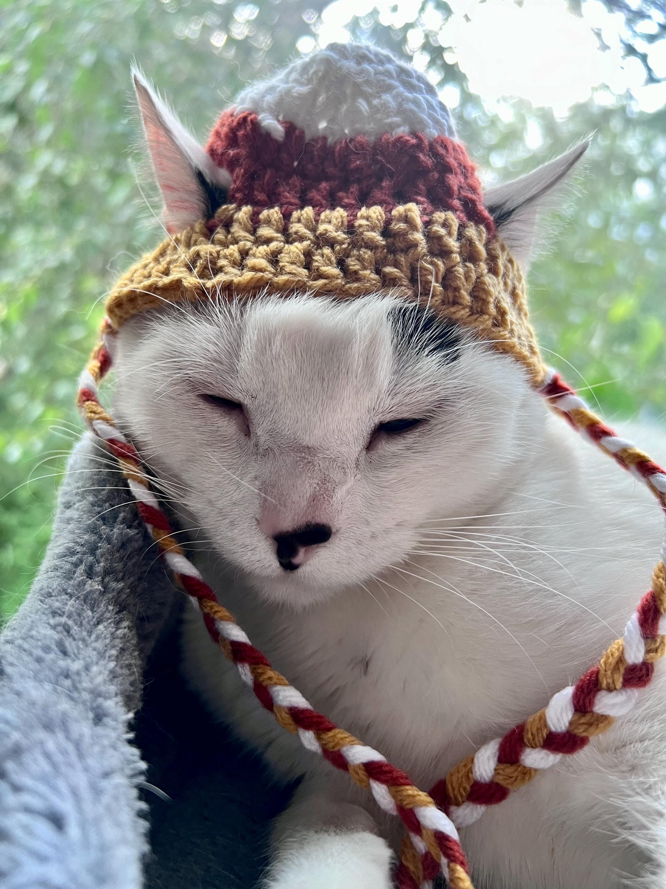 Handmade Candy Corn Cat Hat Perfect Fall Accessory for Cats and Small