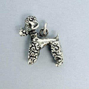 Puede incluir: Un amuleto de plata con forma de caniche con un diseño rizado y texturado.