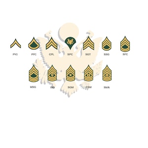 Procreate US Army Enlisted Stamps