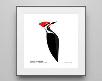 Woodpecker Downy Woodpecker Print Vintage Drawing Poster Wall Art Antique Bird Painting vintage bird poster vintage drawing COO394