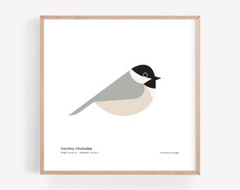 Impresión artística de Carolina Chickadee / Ilustración minimalista moderna de pájaro / Impresión giclée / Spiggle Studio
