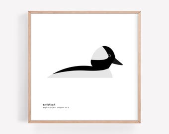 Puede incluir: Una impresión cuadrada enmarcada con una ilustración gráfica minimalista de un pato albelillo en negro, blanco y gris. El texto dice Bufflehead, length: 32-40 cm, wingspan: 55 cm. La obra está dentro de un marco de madera de tono claro.