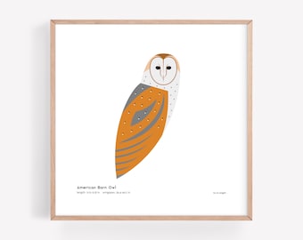 Impresión artística de lechuza común americana / Ilustración minimalista moderna de aves / Impresión giclée / Spiggle Studio
