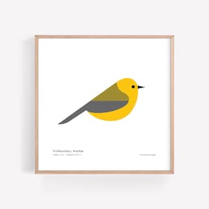 Konsttryck av en protonotär sångare | Modern minimalistisk fågelillustration | Giclée-tryck | Spiggle Studio