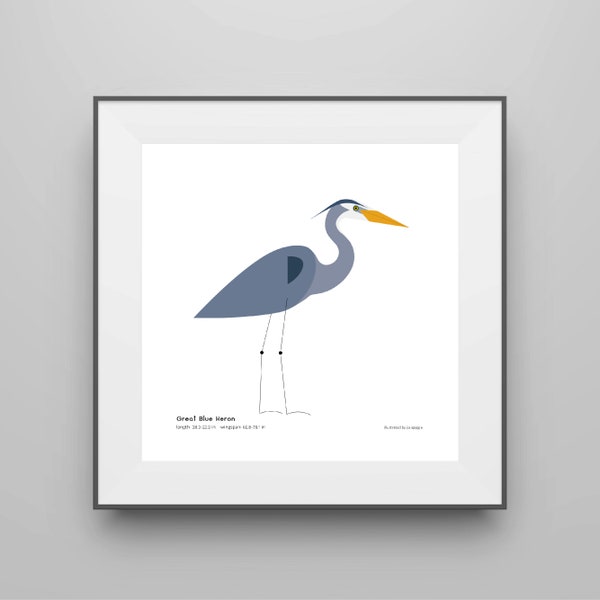 Great Blue Heron Art Print/ Field Guide/ Bird Poster/ Wading Bird / Bird Decor / Minimalist Wall Art