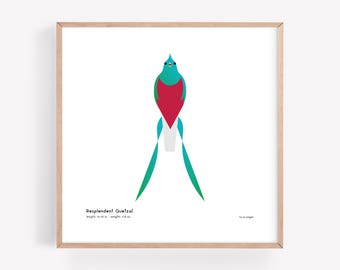 Resplendent Quetzal Art Print | Modern Minimalist Bird Illustration | Giclée Print | Spiggle Studio