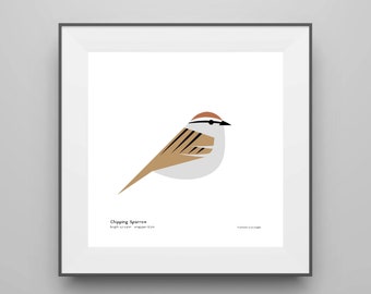 Chipping Sparrow Art Print / Field Guide / Bird Poster / Bird Illustration / Vector Art / Modern Nature / Bird Decor / Minimalist Wall Art