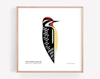 Impresión artística de un chupasavia de vientre amarillo / Ilustración minimalista moderna de pájaro / Impresión giclée / Spiggle Studio