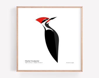 Impresión artística de pájaro carpintero crestado / Ilustración minimalista moderna de pájaro / Impresión giclée / Spiggle Studio