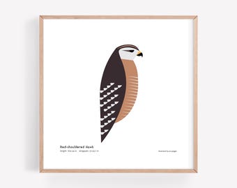 Impresión artística de halcón de hombros rojos / Ilustración minimalista moderna de rapaz / Impresión giclée / Spiggle Studio