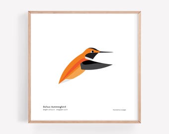 Impresión artística de colibrí rufo / Ilustración minimalista moderna de pájaro / Impresión giclée