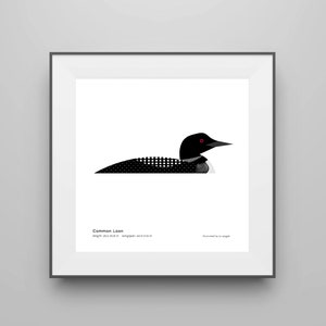 Common Loon Art Print / Field Guide / Bird Poster / Bird Illustration / Vector Art / Songbird / Bird Decor / Minimalist Wall Art / Signed