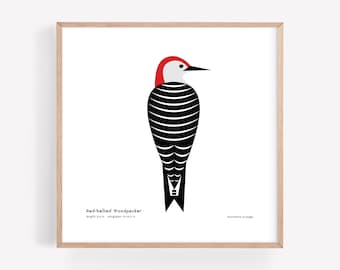 Red-bellied Woodpecker Art Print | Modern Minimalist Bird Illustration | Giclée Print | Spiggle Studio