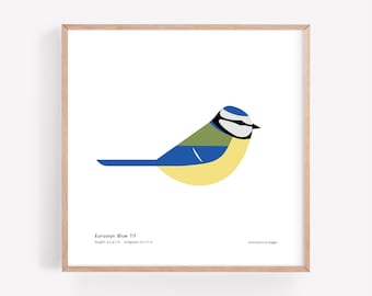 Herrerillo común euroasiático / Ilustración minimalista moderna de pájaro posado / Impresión giclée / Spiggle Studio