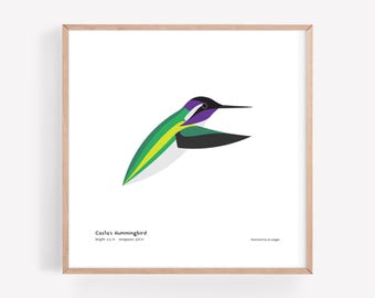 Impresión artística del colibrí de Costa / Ilustración minimalista moderna de aves / Impresión giclée / Spiggle Studio