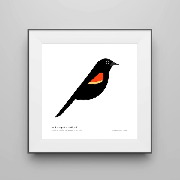 Red-winged Blackbird Art Print / Field Guide / Bird Poster / Bird Illustration / Vector Art / Songbird / Bird Decor / Minimalist Wall Art