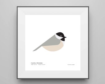 Carolina Chickadee Art Print / Field Guide / Bird Poster / Bird Illustration / Vector Art / Songbird / Bird Decor / Minimalist Wall Art