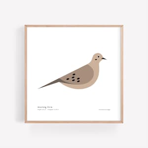 Mourning Dove Art Print / Field Guide / Bird Poster / Bird Illustration / Vector Art / Songbird / Bird Decor / Minimalist Wall Art
