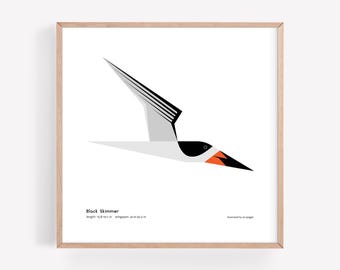 Impresión de Black Skimmer / Ilustración minimalista moderna de aves marinas / Impresión giclée / Spiggle Studio