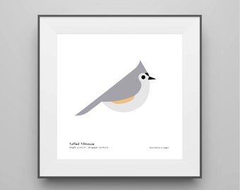 Tufted Titmouse Art Print / Field Guide / Bird Poster / Bird Illustration / Vector Art / Songbird / Bird Decor / Minimalist Wall Art