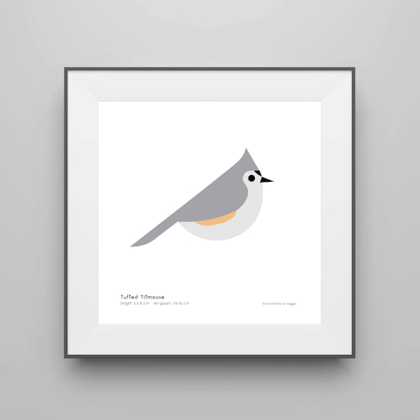 Tufted Titmouse Art Print / Field Guide / Bird Poster / Bird Illustration / Vector Art / Songbird / Bird Decor / Minimalist Wall Art