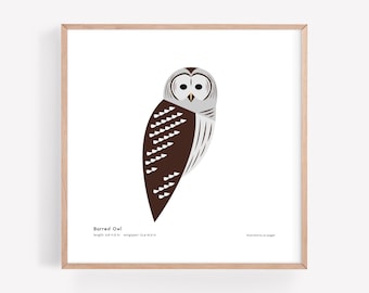 Impresión artística de búho barrado / Ilustración minimalista moderna de pájaro / Impresión giclée / Spiggle Studio